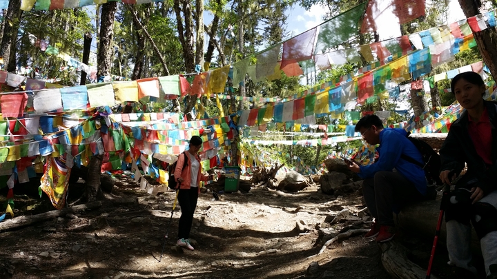20160626_152537.jpg