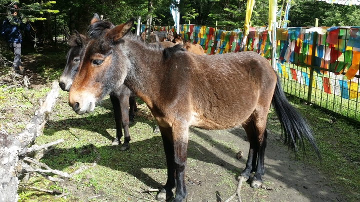 20160627_095007.jpg