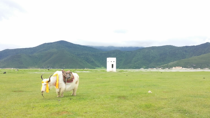20160630_125627.jpg