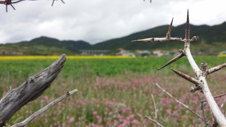 20160630_115428.jpg