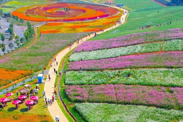 【快乐微驴】4月12日特价：休闲·赏花岳阳湘阴洋沙湖五彩花田赏花+渔窑小镇一日休闲活动118元含门票