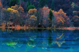 畅乐游户外运动保障