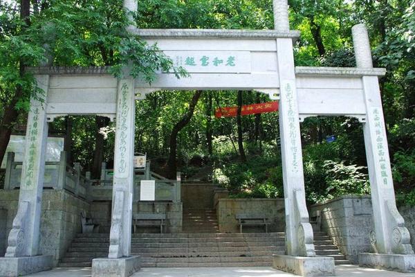 4月3日古荡 北高峰 法华寺 老东岳 湿地绿堤   。。风雨无阻