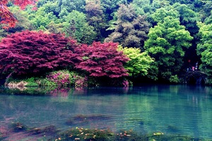 12月6日 九溪-杨梅岭 满觉陇-茶博-茅家埠-上香古道-曲苑风荷-少年宫