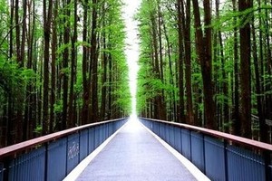 12月20  青山湖  水上森林  野餐桌游 晒太阳 看晚霞