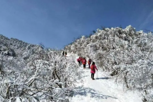 1月25日 百丈岭 雾凇 云顶湖