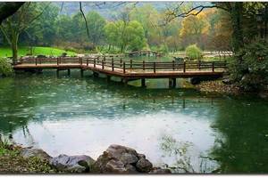 2月1  逛西湖 吴山广场 柳浪闻莺 太子湾 乌龟潭-茅家埠 曲苑风荷