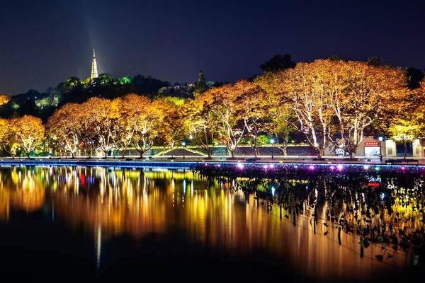 【每周三固定活动】 夜走西湖 西湖美景中夜走 活力四射