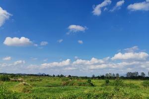 2025年11月2日 休闲骑行 南湖-北湖草荡，赏南湖风光，北湖草荡观鸟，看苕溪两岸美景