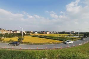 2025年11月2日 休闲骑行 南湖-北湖草荡，赏南湖风光，北湖草荡观鸟，看苕溪两岸美景