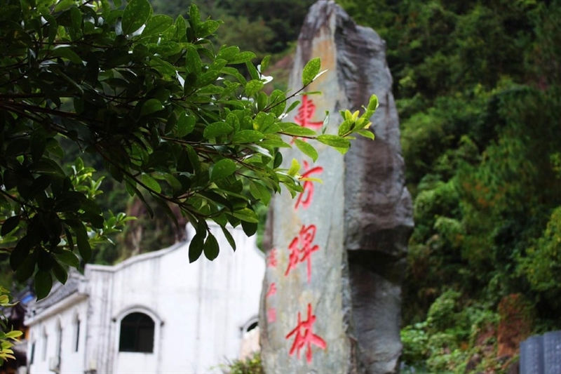 青田旅游——漫步千丝岩