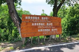 2026年3月15日  休闲骑游  100公里拉练 X331翁金线 老盐仓 盐官 