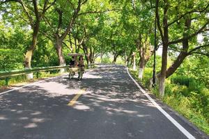 2025年12月28号 骑游龙门古镇