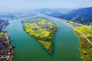 3月21日春游 桐洲岛 油菜花 挖野菜 钓鱼 火锅 烧烤