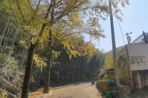 20231104六八古道——青年旅行