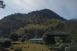 20240216上青古道——亲子游