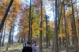 20231202燕窝古道——青年旅行