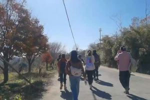 20231119栖霞坑古道——青年旅行