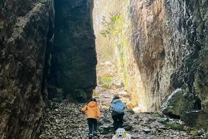 【单日定制】原始丛林藤蔓秘境、鄞江一线天、小众探险、穿越天坑地缝