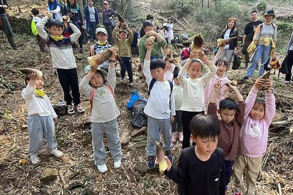 【龙莲松】4/4陆羽古道挖笋，遇见治愈系茶园、竹林、林间小溪