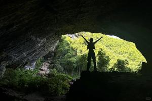 【单日定制】竹林探秘章里古道，邂逅飞流悬瀑