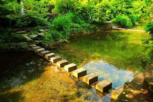 【单日定制】溯溪戏水九溪十八涧，相约杭州小九寨沟