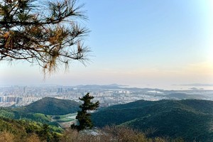 【单日定制】寻味惠山古镇，轻徒无锡经典惠山，揽胜太湖之滨