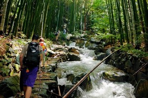 【单日定制】上王岗古道,野生版“九溪十八涧”,冷门又绝美的山水秘境，超级出片