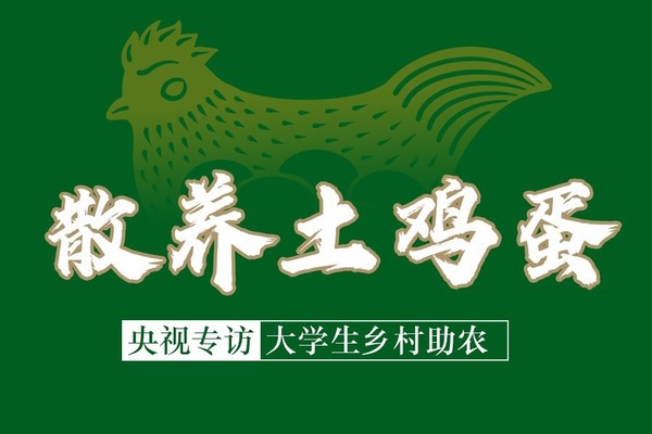 正宗散养有机土鸡蛋（绿壳）