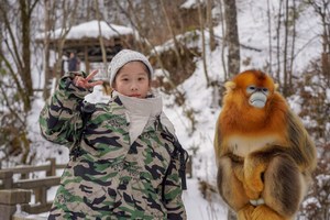 【亲子神农架】堆砌雪人、打雪仗、神农架雾凇、近距离观察野生金丝猴、专业滑雪技能教学