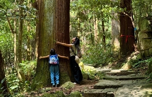 【元旦2天】江浙版