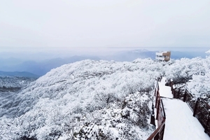 【龙莲松曹体】12/21、12/22误入冰雪世界，鸬鸟山看雪、看雾凇