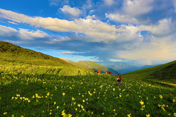 「花海徒步之旅 • 九顶山」6月25日-26日/端午节/十万亩花海露营，清晨等一场云海，夜晚邂逅璀璨银河！