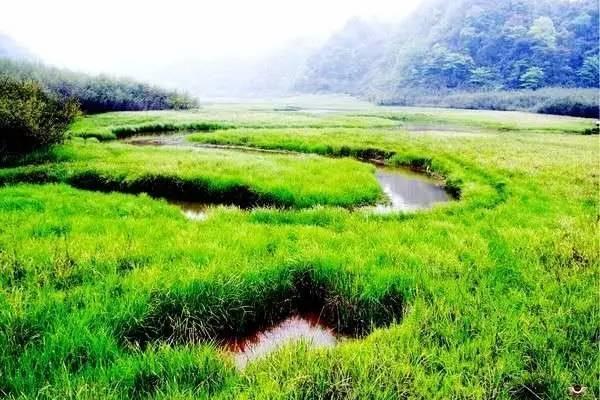 海子山 • 4月11日【周三】以呼伦贝尔的名义，海子草原尽在身边，共享雨城之美