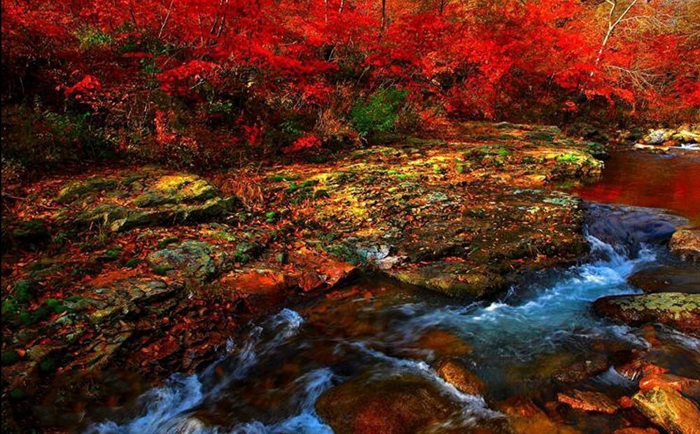 【10月13-14日】(周末火车)辽宁本溪:关门山,老边沟赏红叶,火车出行aa_风景520 【10月13-14日】(周末火车)辽宁本溪:关门山,老边沟赏红叶,火车出行aa