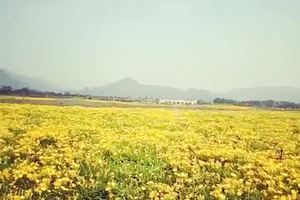 6月26号大话心游之七孔桥花海-香屯水泉沟小游