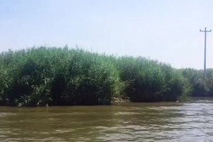 6月26号大话心游之白洋淀点滴！