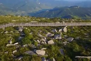 大话心游,从心开始之冰山梁