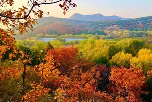【1日徒个•舞彩浅山】北京著名赏秋打卡圣地の休闲穿越-别致山景-小众原生态-打卡地道战 [复