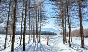 【1日•麻田岭踏雪】北京周边徒步踏雪好去处の河北小天山-京西香格里拉10公里小环穿