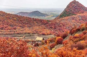 【1日•舞彩浅山】逐秋之舞彩-尽享秋日红叶盛宴-小众原生态（初级）