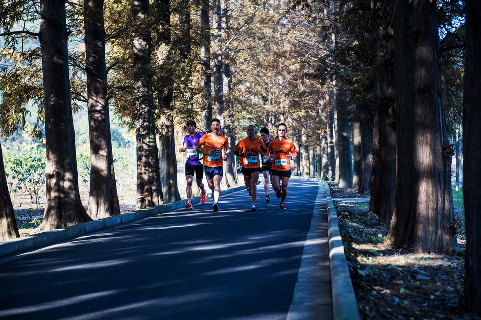 DSC_1873第二方阵