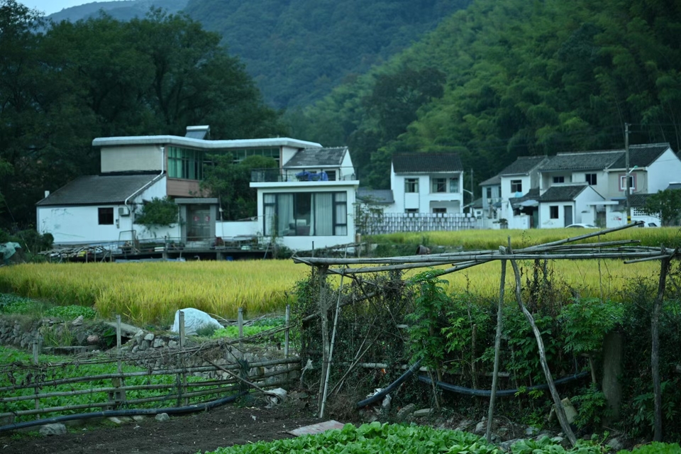 1I7AM_nWk-cWe8mjCTFRz_tKMxQ9-jJZxaG-k9YnRFMZ9JEop9cC1f8f4N7gg2Hq