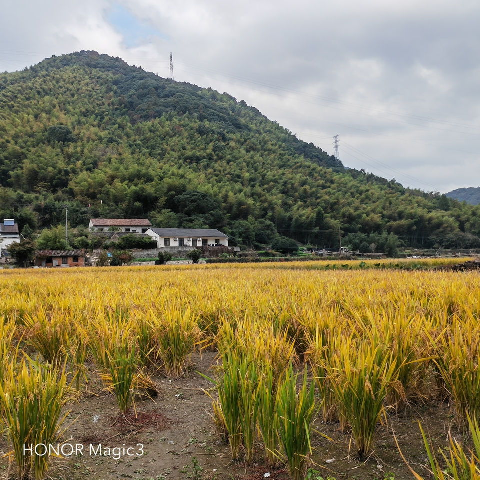 l3pwE7awCV3NKRoMXuTxCf7QwIynLYEuAV-TE7BanrA09W2WXWZLOwUGCCBcF9O-