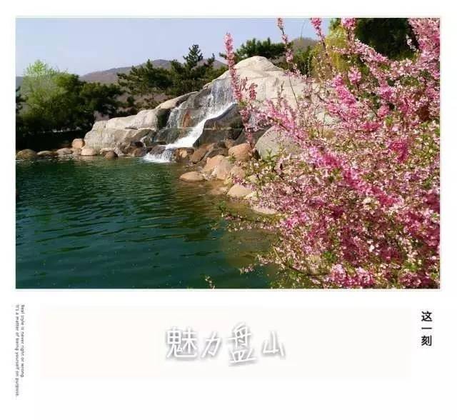 高清组图两万人齐聚盘山,只因这美景错过还要等一年