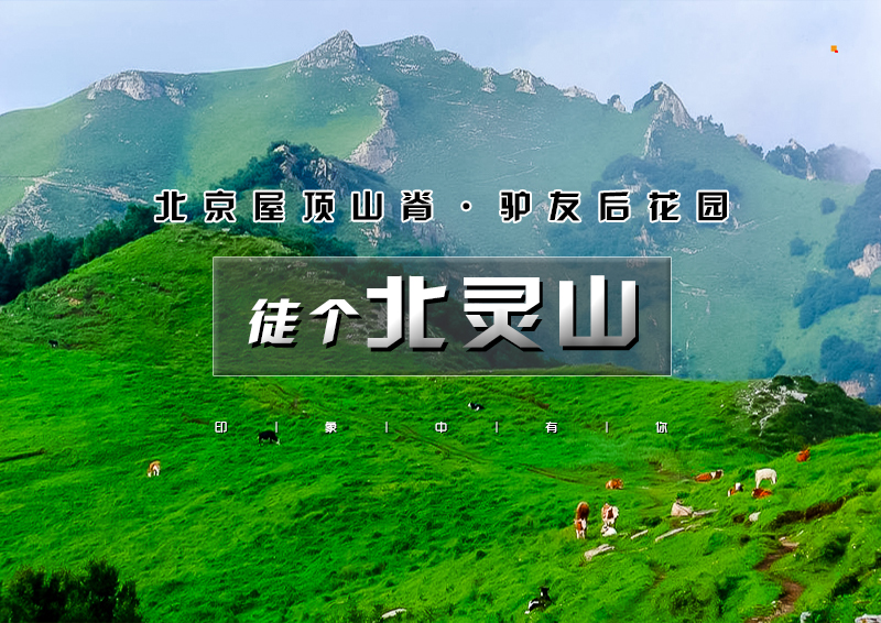 印象头图模版D.jpg