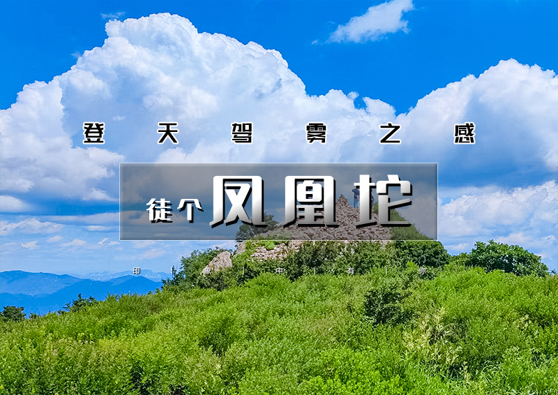 ▌▌印象头图.jpg