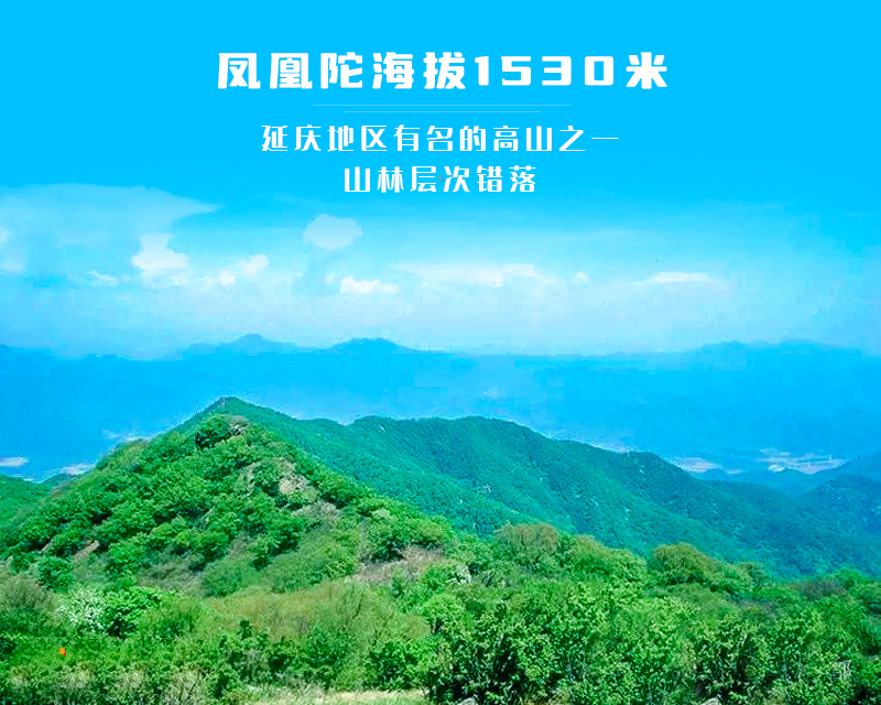 ★印象细图A1.jpg