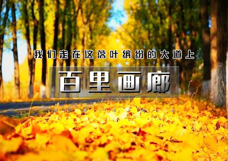 ▌▌印象头图.jpg