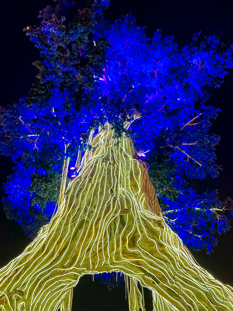 005SLTo6ly1hnngnpzsaij32c03404qs.jpg